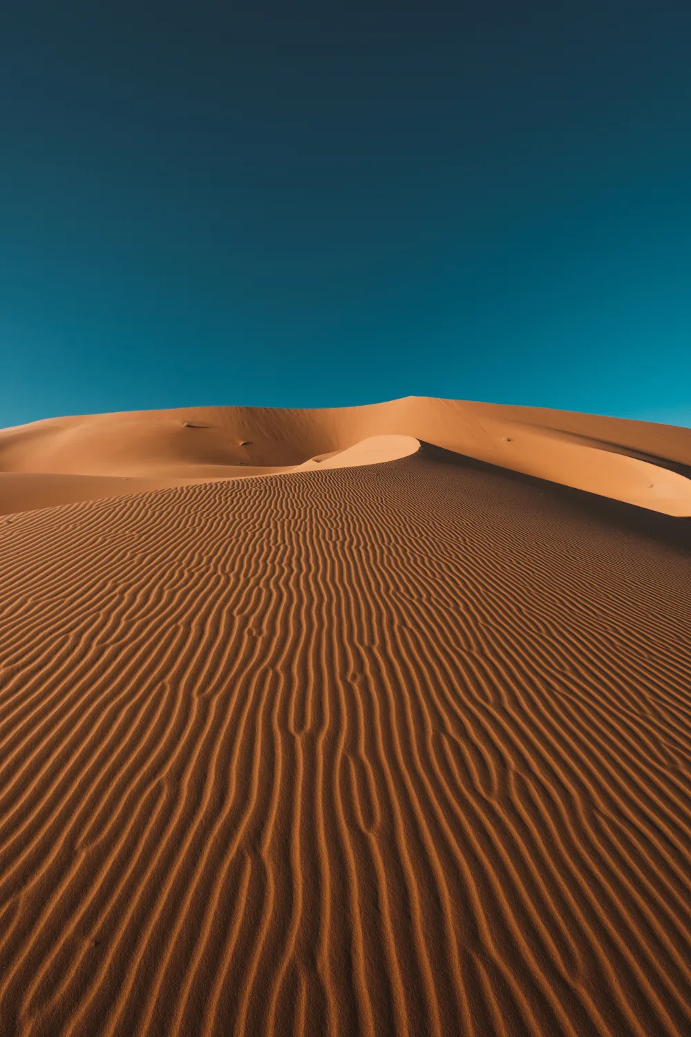 Saudi Arabia landscapes