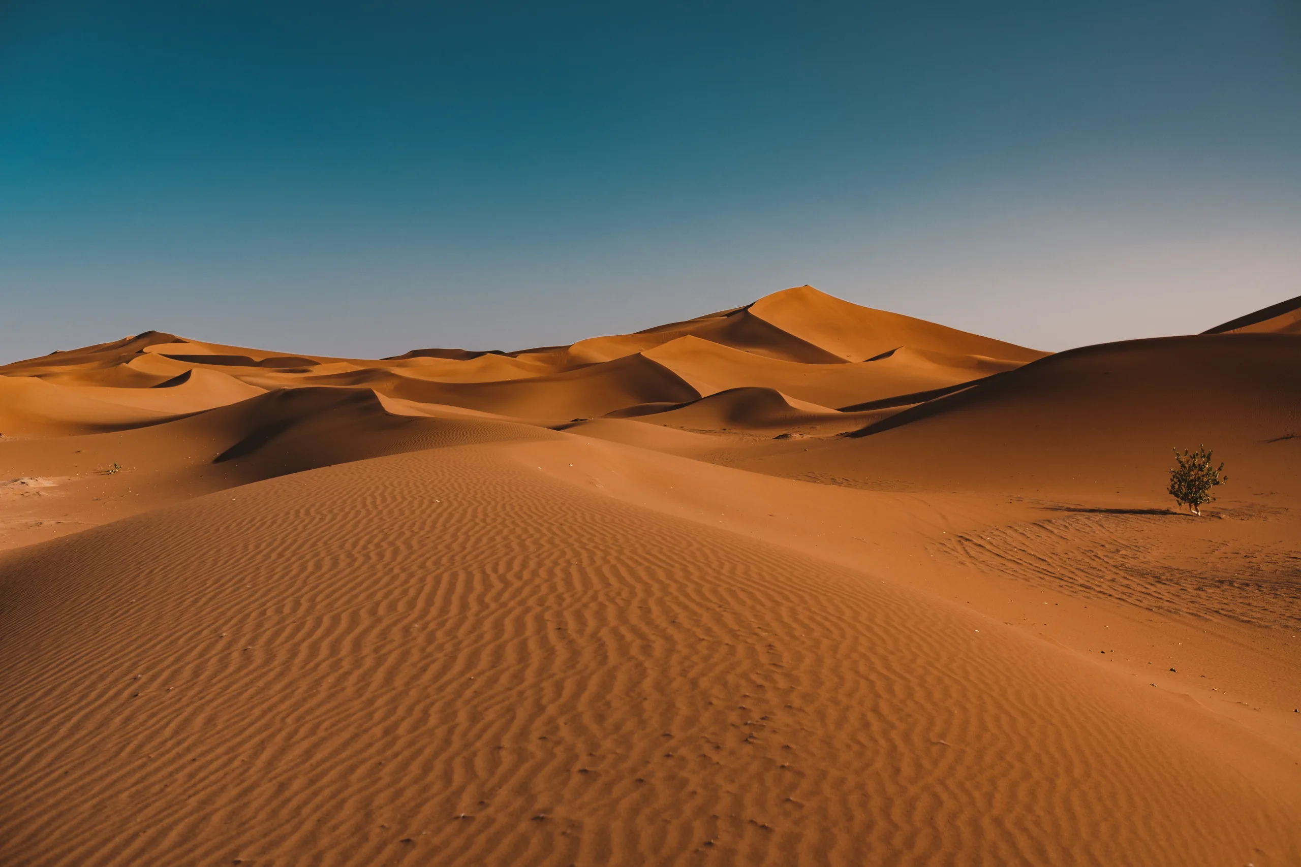 Sunlit dunes